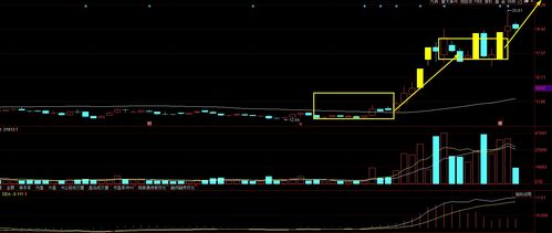 A股大尋寶 四只具備“飛天”潛力、散戶忽略卻獲資金悄然關注的標的